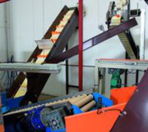 Gufresco aumenta su capacidad productiva y de almacenamiento