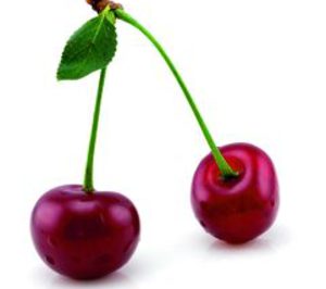 Valle del Jerte proyecta aumentar su capacidad frigorífica