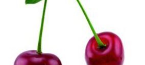 Valle del Jerte proyecta aumentar su capacidad frigorífica