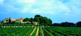 Bodegas Torres, la más valorada de Europa