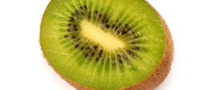 Kiwi Atlántico prevé un crecimiento moderado