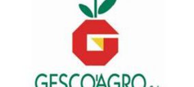 Gescoagro prepara su estrategia empresarial para los próximos años