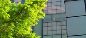 Indesit logra extender el uso de Hotpoint fuera de Europa