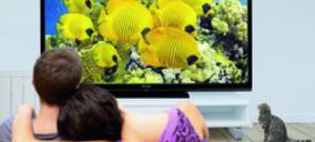 Sharp y Lenovo ¿juntos para fabricar televisores?