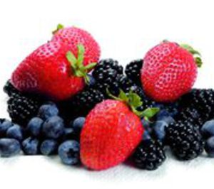 Fresas y berries:Un mercado de exportación