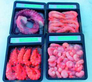 Dagustín prevé superar los 80 M y lanzar su nueva gama para retail en noviembre