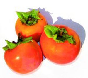 Anecoop, perspectivas de crecimiento para el presente año