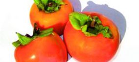 Anecoop, perspectivas de crecimiento para el presente año