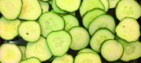 Gufresco presenta novedades en IV gama