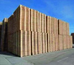 Mundopalet renueva maquinaria