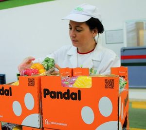 Optimismo en el arranque de campaña de AgrupaEjido