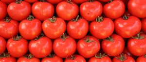 Análisis 2014 de las frutas y verduras ecológicas