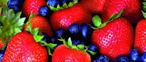 Informe 2014 del sector de Fresas y Berries