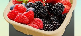 Plus Berries anuncia inversiones para 2014