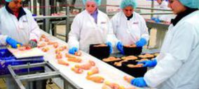 Nutreco pone en venta Nanta y Sada