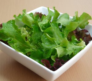 Ensaladas Verdes prevé invertir en sus instalaciones