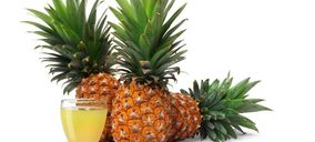 JGC alcanza su propósito de cultivar piña en Murcia