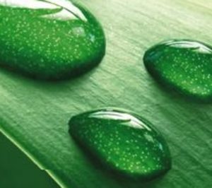 Eurofragance crece un 16%