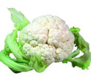 Alcamar 2000 cambia su razón social