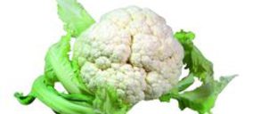 Alcamar 2000 cambia su razón social