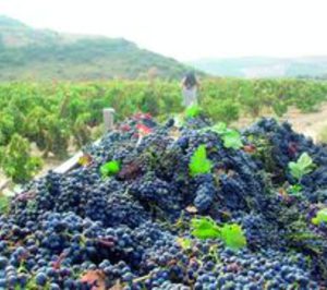El Gobierno aprueba nuevas normas de regulación de la oferta de vino