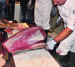 Euroanchoas distribuirá atún de almadraba