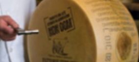 Ferrarini aumenta sus ventas por quesos