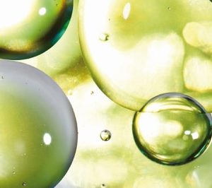 Distribuidora Joan prevé elevar su volumen de facturación