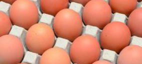 El grupo Huevos Giralda, en venta