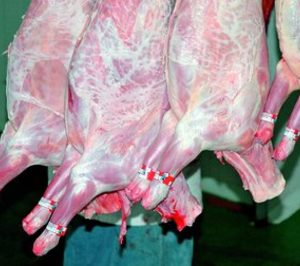 Nueva empresa de ovino próxima al cierre