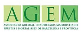 Jaume Flores, nuevo presidente de Agem