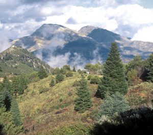 Se aprueba la remodelación de un cortijo malagueño para alojamiento rural