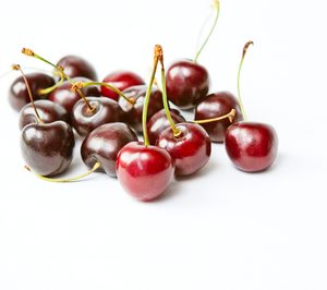 Valle del Jerte continúa ampliando capacidad frigorífica