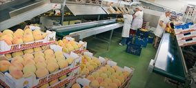 Samafru compra los activos de una cooperativa murciana