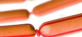 Viscofan toma el control de Nanopack