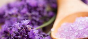 Essential Compositions presenta su nueva estrategia de negocio