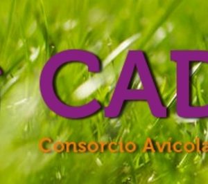 Consorcio Avícola del Sur cesa actividad