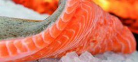 Proa Internacional estrena instalaciones