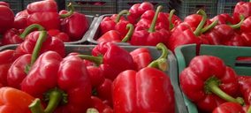 AgrupaEjido se declara en concurso