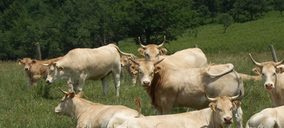 El proyecto de la Ciudad de la Carne tropieza de nuevo