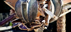 Sorigue crece y diversifica con compras