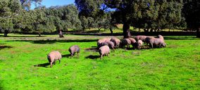 Una fabricante de ibérico onubense entra en concurso