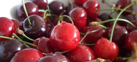 Agrupación de Cooperativas del Valle del Jerte invierte en tecnología