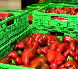 El transporte hortofrutícola bate récords en 2015