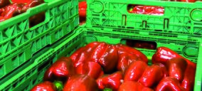 El transporte hortofrutícola bate récords en 2015
