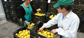 Anecoop refuerza su apuesta ecológica e incorpora a Toñifruit