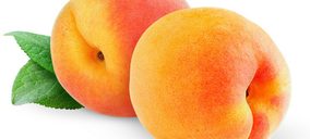 Samafru aumenta la capacidad de su planta de Abarán