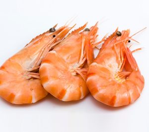 Dagustín crece un 5,5%  y acomete mejoras