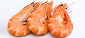 Dagustín crece un 5,5%  y acomete mejoras