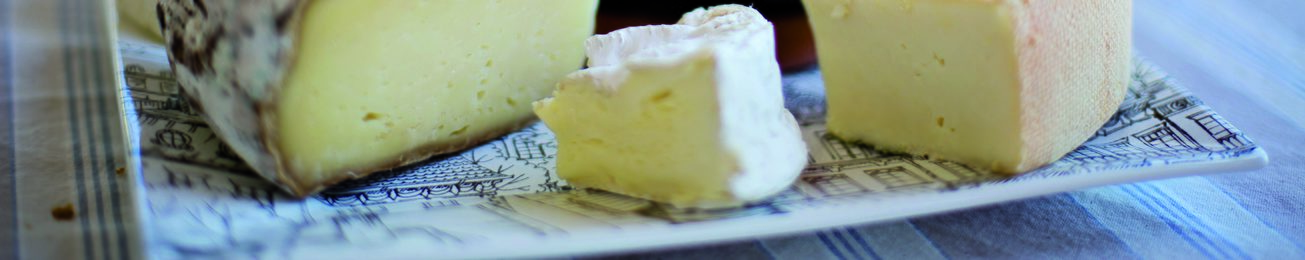 Informe 2016 del mercado de queso en libreservicio